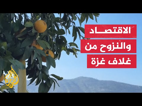 طول أمد نزوح سكان مستوطنات غلاف غزة والشمال يفاقم أزماتها الاقتصادية