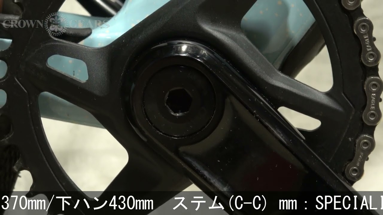 SPECIALIZED (スペシャライズド) 2022モデル DIVERGE EXPERT CARBON 