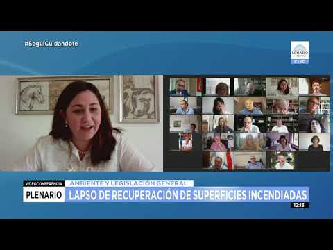 SDORA. CLAUDIA ALMIRÓN 03 - PLENARIO DE AMBIENTE Y LEGISLACIÓN GRAL. 24-11-20