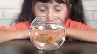Goldfish Memory: Fact or Fiction 🐟