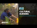 Bushfires lead to surge of interest in cultural burning | 7.30