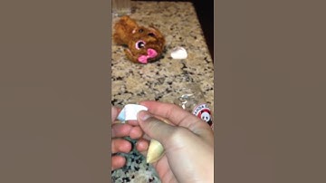 Fortune cookie from Panda Express