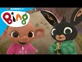 Bing e Sula raccolgono e contano le ghiande nel bosco! | Bing: I Migliori Momenti | Bing Italiano