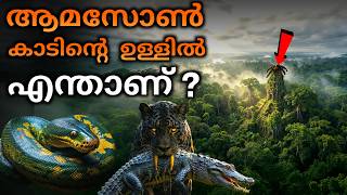 എന്തുകൊണ്ട് ഒരിക്കലും ആമസോൺ കാടിനെ പരിവേഷണം ചെയ്യാൻ കഴിയില്ല?