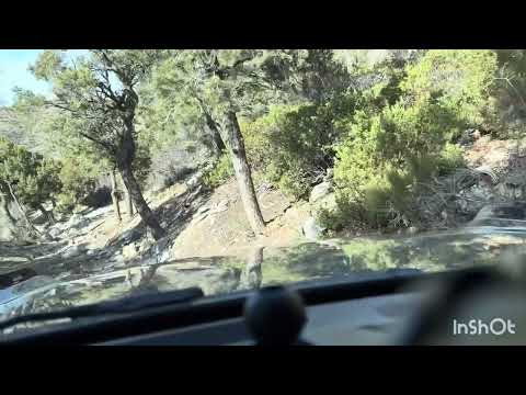 Bronco Off-Roadeo Nevada