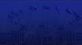 Profile Picture of Dr. Wendy Telgt-Emanuelson, Director, PANCAP Coordinating ... - YouTube (@youtube.com) on Google