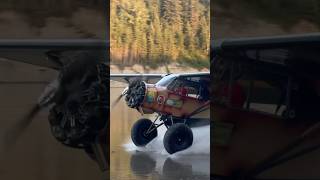 Patina Cub Playing on the Athabasca River #backcountry #bushflying