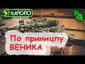 От МУРАВЬЕВ и ТЛЕЙ используйте БЕСПЛАТНОЕ СРЕДСТВО! Изгнание болезней и вредителей банным настоем.