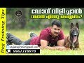 How to Teach Your Dog Come When Calling! Saajan K9 Dog Training School