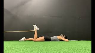 Famous Hamstring curl - Prone Inner Range Wealth
