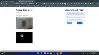 Add Agora Remote User to Stream   Basic Video Call screenshot 5