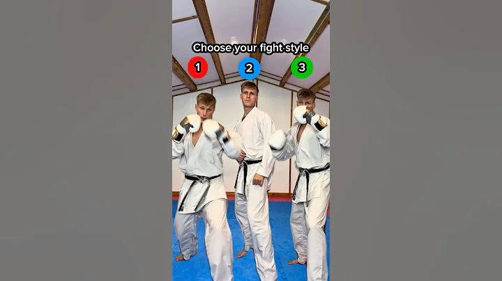 Which martial art STYLE do you choose?