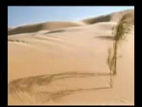 هدي بلادي المنيعة