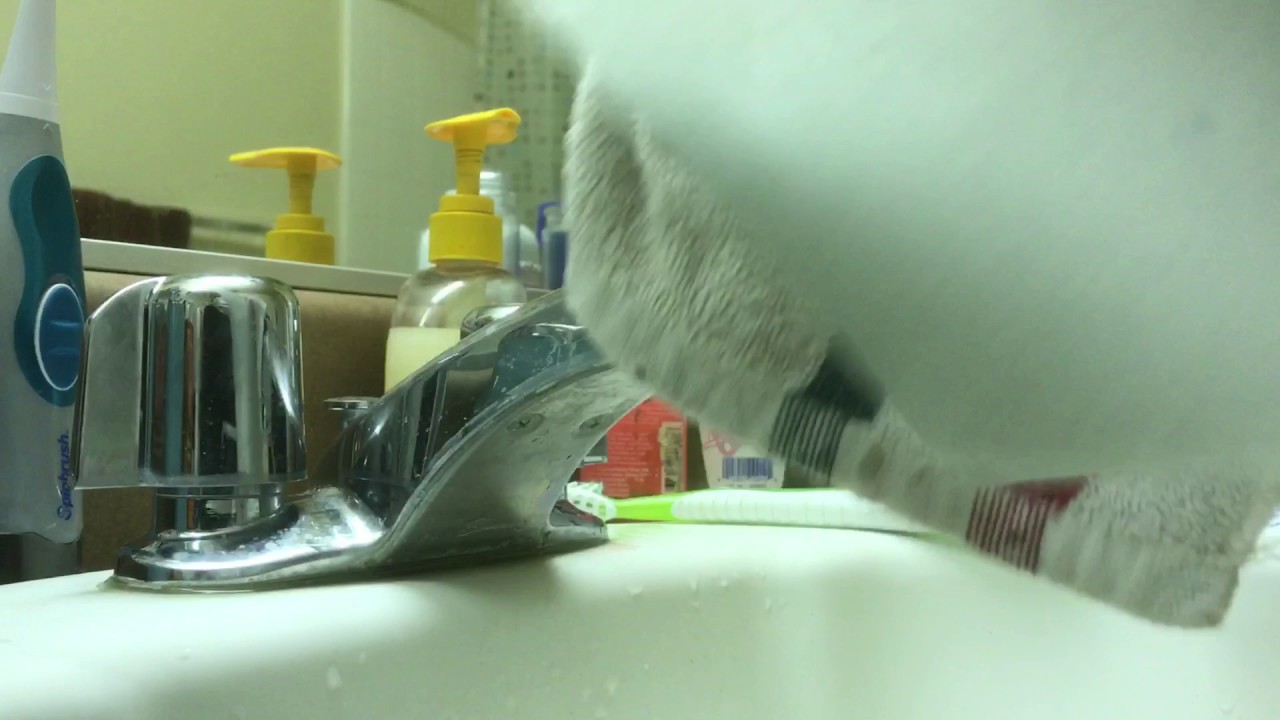 DIY WaterProof Paper!! YouTube