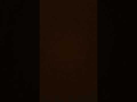نفسي اجيب كلب بابا قال لي لا