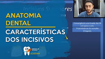 Qual é a função dos dentes?