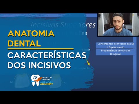 Vídeo: Quem tem incisivos em forma de pá?