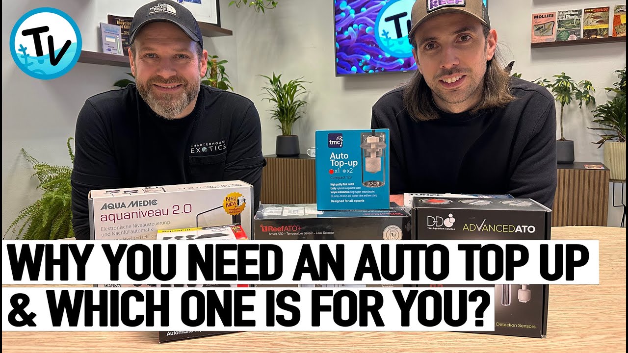 Не покупайте НЕПРАВИЛЬНОЕ устройство для пополнения баланса! Посмотрите это в первую очередь!