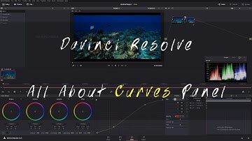 Davinci Resolve Curves Explained