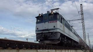 JR貨物　EF65 2117号機が牽引する84ﾚ貨物列車を城東貨物線神崎川橋梁で撮影（R1.8.5)