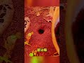 庭で奇妙なものを発見 😱 #shorts #発見