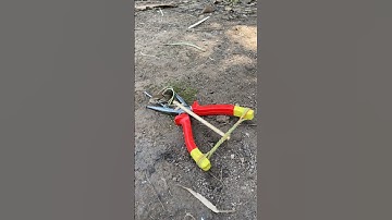 DIY Snake Trap using Pliers #creativesnaketrap #buildsnaketrap