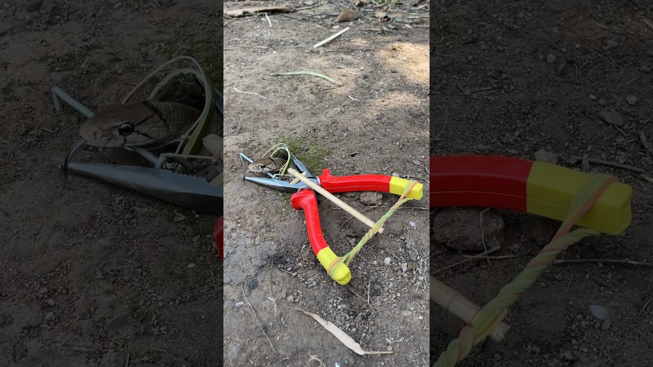 DIY Snake Trap using Pliers 
