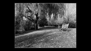 Empty Park Bench