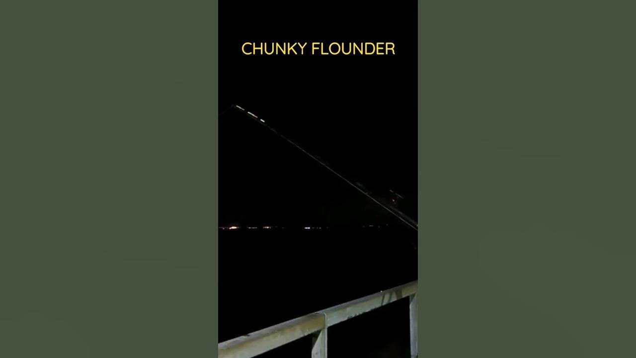 CHUNKY slack line Flounder. cod fishing codfishing seabeach YouTube