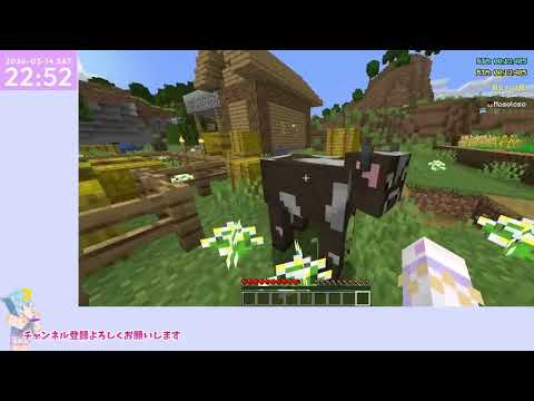 【マイクラ】れんしゅう23日目エンドラRTAランクマッチ 【マインクラフト】