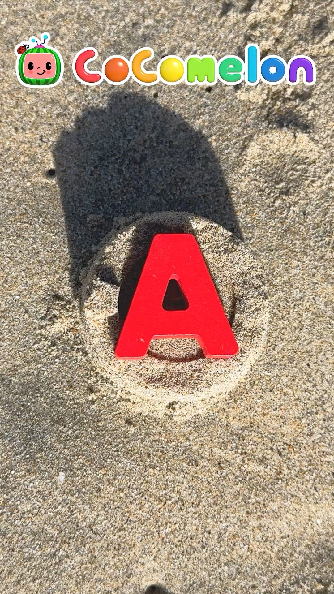 Learn ABCs at the Beach! Easy DIY Lessons! #cocomelon #shorts