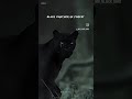 🖤Black panther Yamaha mt-15 😎#subscribe #like #mt15lover