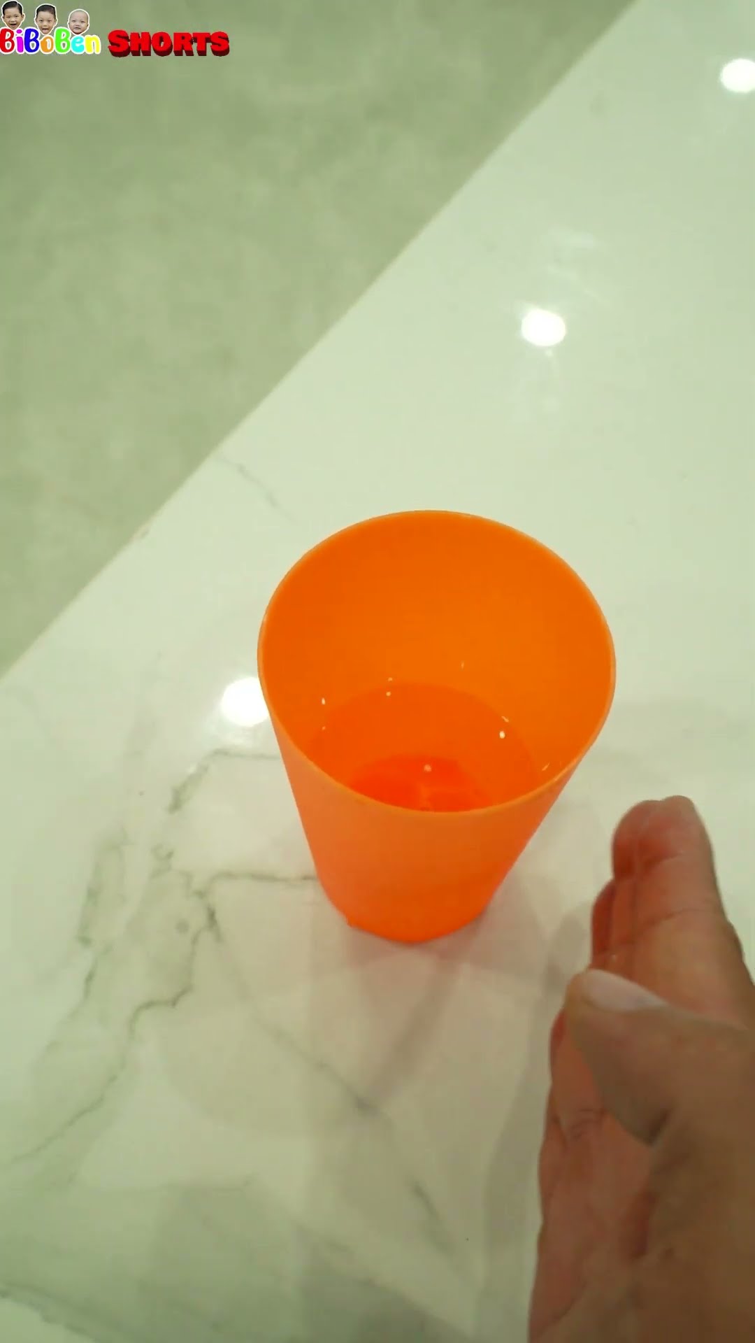BiBoBen Shorts | Cat and a glass of water