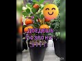Открытка #друзья #хорошегодня #приветствие #люблю#коллеги #спасибо #