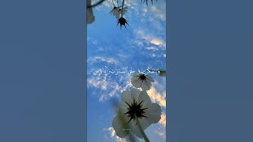 { الَّذِينَ يَذْكُرُونَ اللَّهَ قِيَامًا وَقُعُودًا وَعَلَىٰ جُنُوبِهِمْ }[ سورة آل عمران : 191 ]