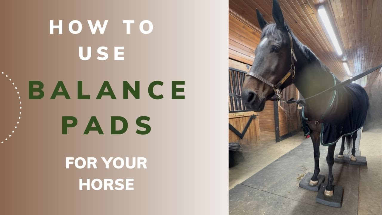 How to Use Horse Balance Pads