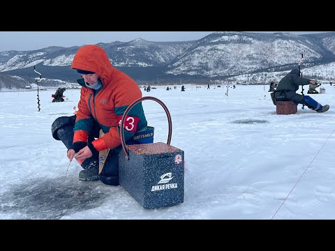 Чемпионат по ловле на мормышку со льда .