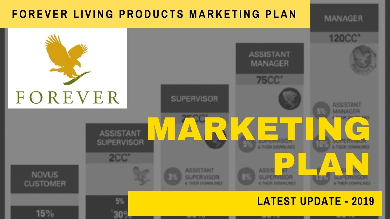forever living products pakistan marketing plan