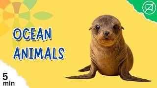 Exploring the Ocean: Amazing Sea Creatures for Kids!