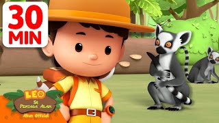 Bagaimana cara lemur ekor cincin membersihkan diri?! 🚿 | 30 Min | Leo Si Penjaga Alam | #hewan