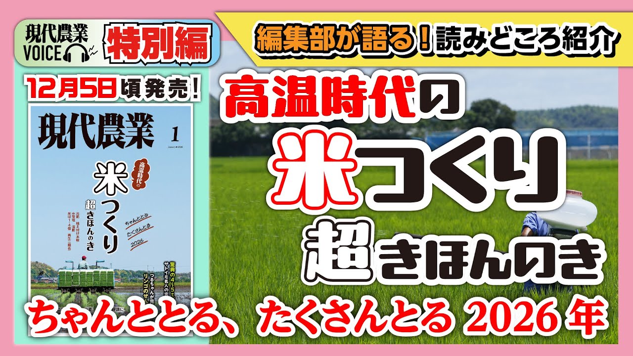 【編集部が語る】高温時代の米つくり 超きほんのき ---ちゃんととる、たくさんとる 2026年---【現代農業VOICE】