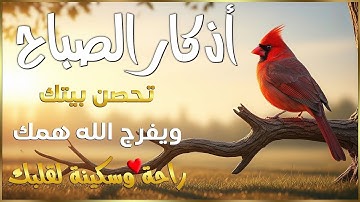 أذكار الصباح - راحة نفسية لا توصف بصوت القارئ علاء عقل | Morning Athkar - Dzkir Pagi by Alaa Aql