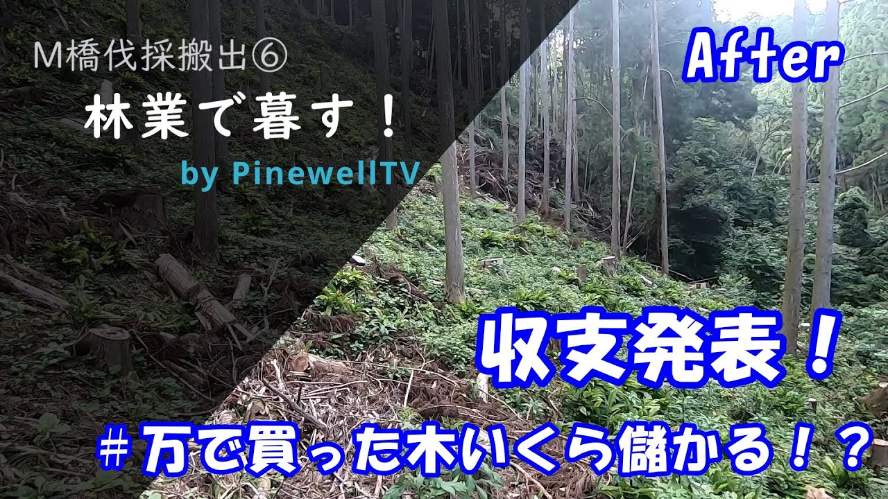 林業で暮す！M橋伐採搬出⑥収支発表
