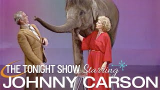 Betty White’s Elephant Loves Johnny | Carson Tonight Show by Johnny Carson 132,959 views 2 weeks ago 9 minutes, 55 seconds