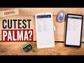 DuRoBo Krono - The E-Ink Phone Built for Scrolling