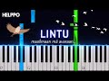 Lintu maailmaan m avaraan  helppo piano tutorial