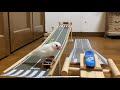 スケボーで遊ぶ文鳥５