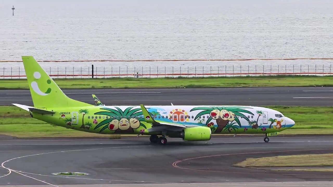 航空機・ヘリコプター Solaseed Air B737-800 Nassi Jet Miyazaki Solaseed Air]Boeing 737-800 (JA803X)(Nassi Jet Miyazaki