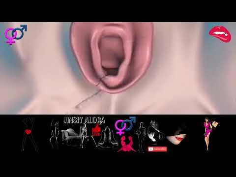 Yandex porno katta eshaklar Vaginaning ichki qismini korsatadigan fotosuratlar