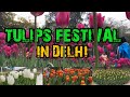 Tulips festival in delhi